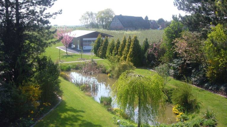 foto15