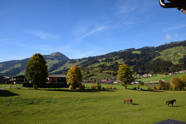 foto12