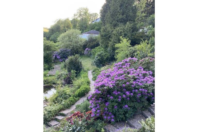 foto30
