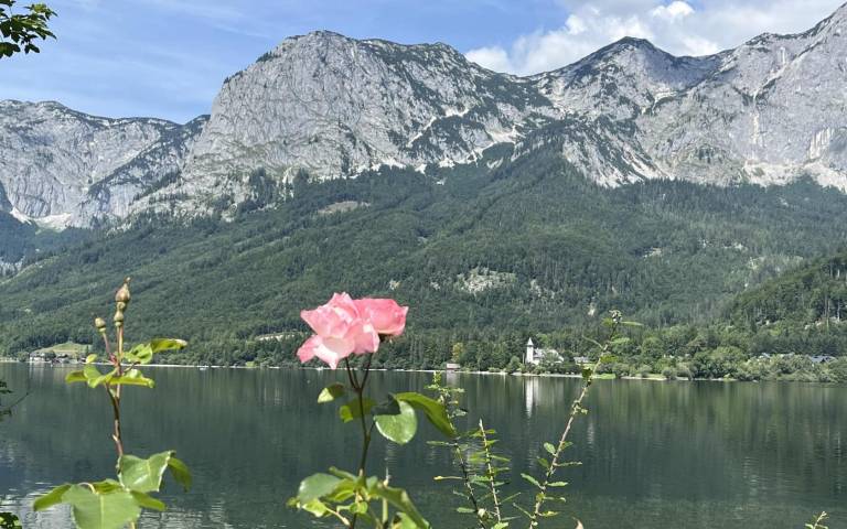foto17