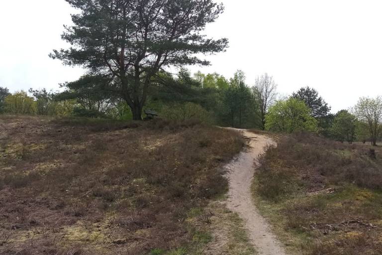 foto35