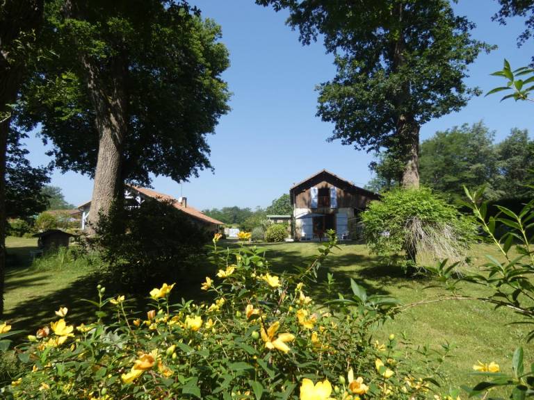 foto17