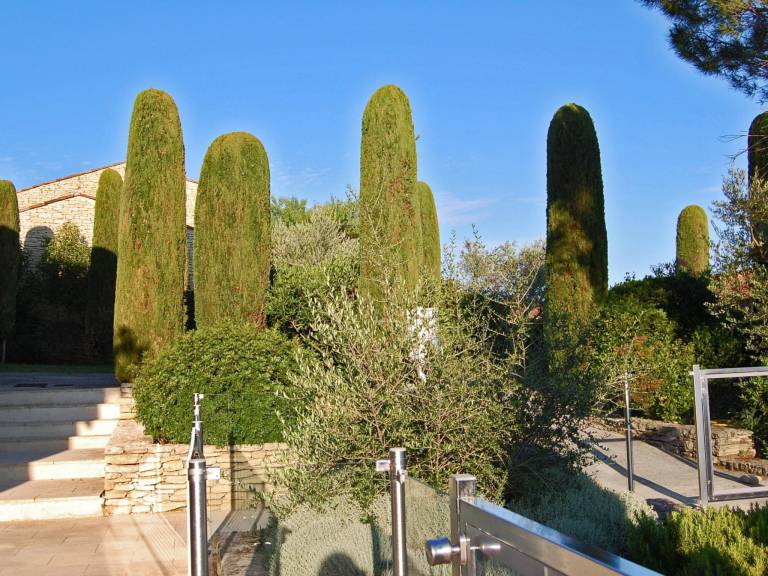 foto14