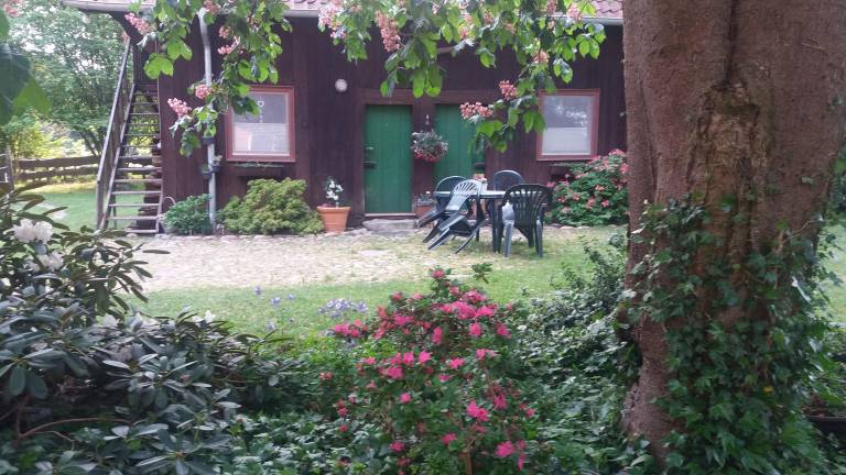 foto2