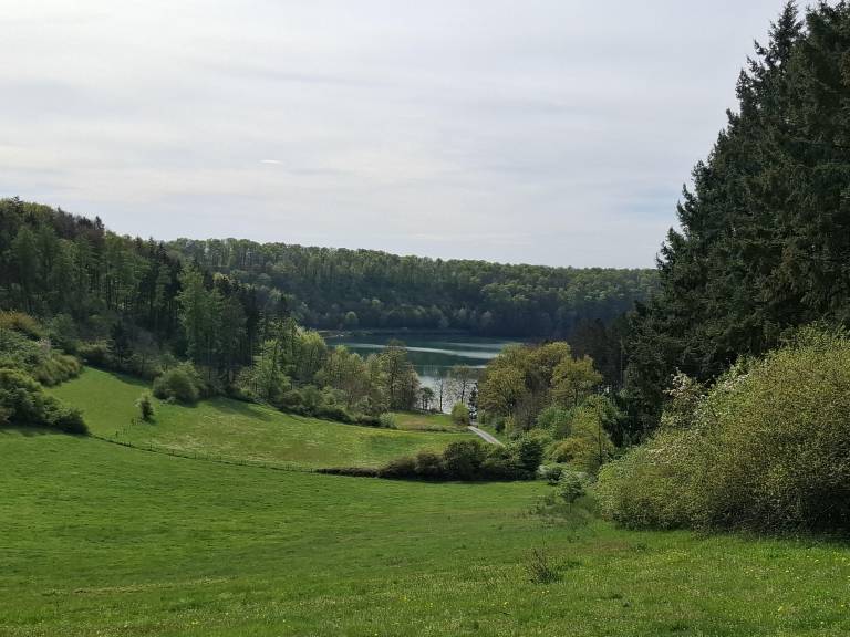foto14
