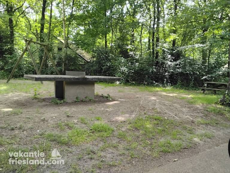 foto12