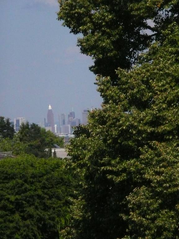 foto6
