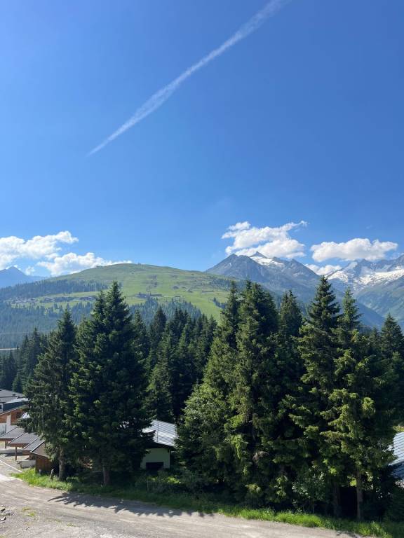 foto11