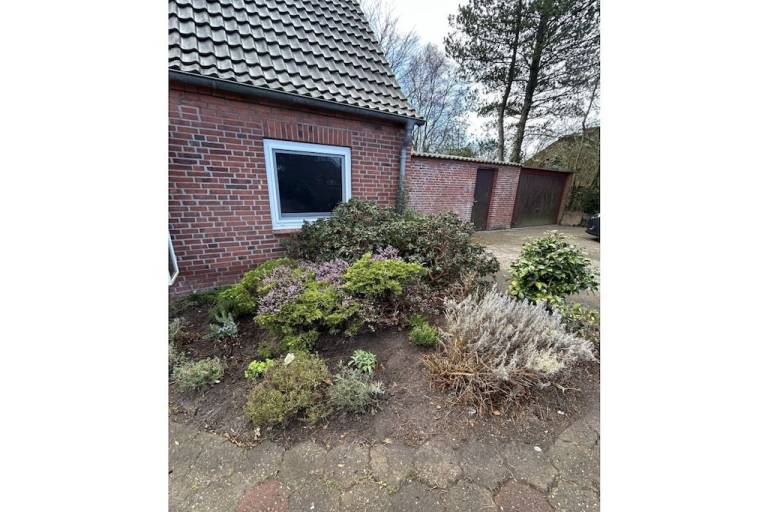foto26