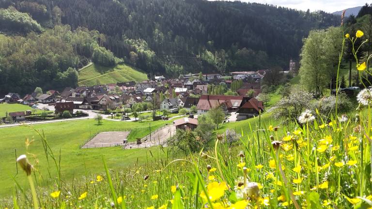 foto11