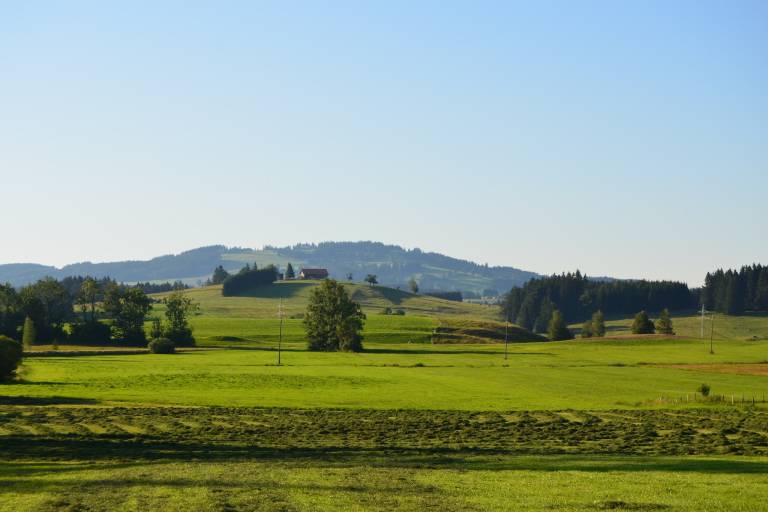 foto12