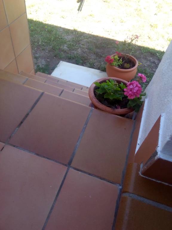foto32