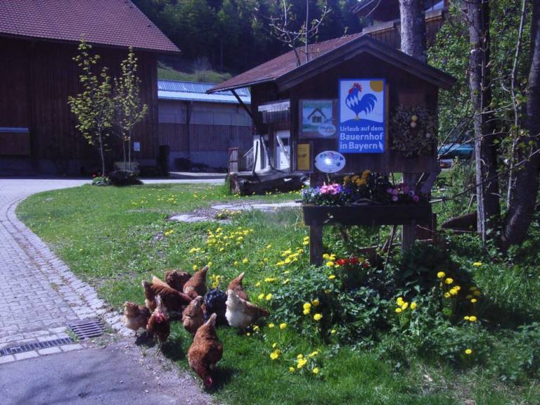 foto13
