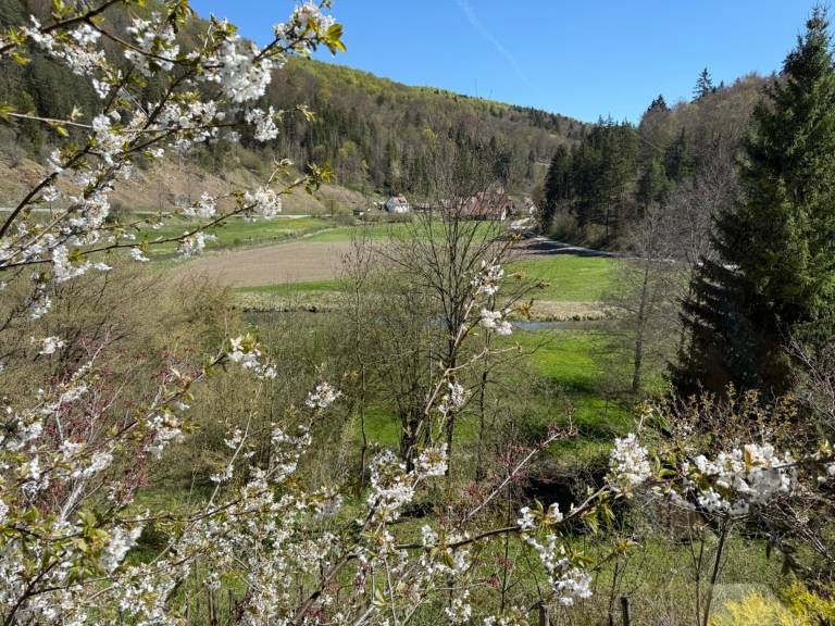 foto24