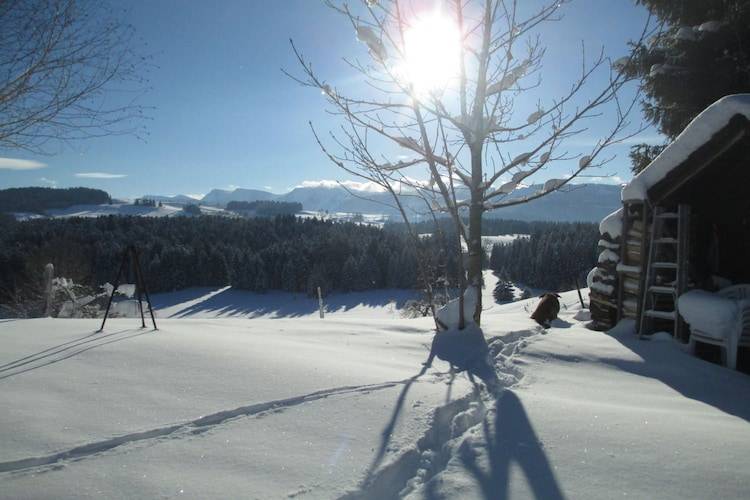 foto8