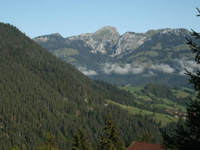 foto19