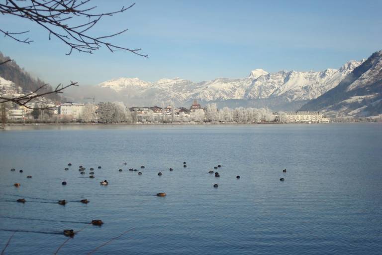 foto15