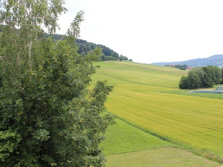 foto19
