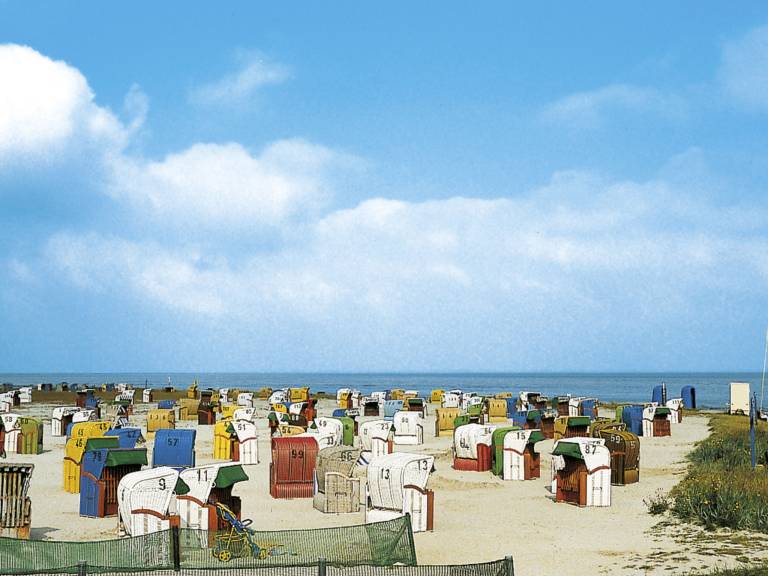 foto51