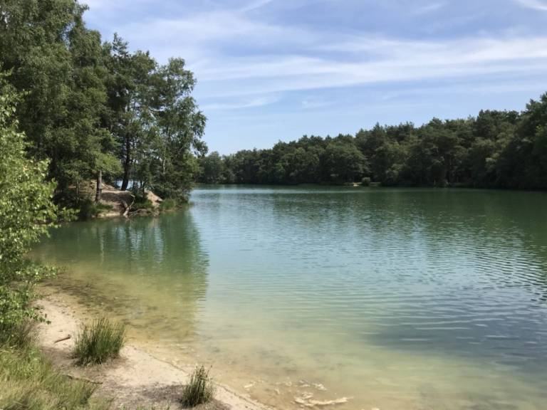 foto11
