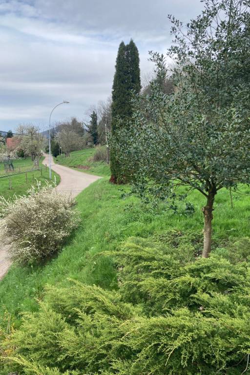 foto11