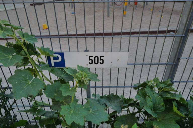 foto21