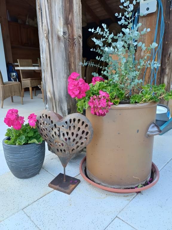 foto13