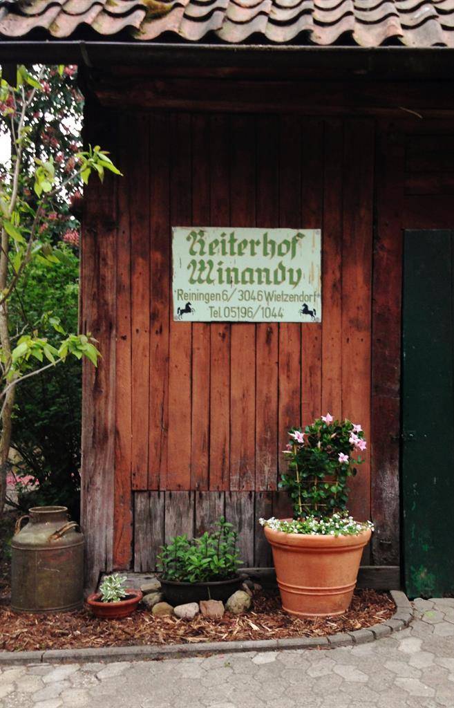 foto1