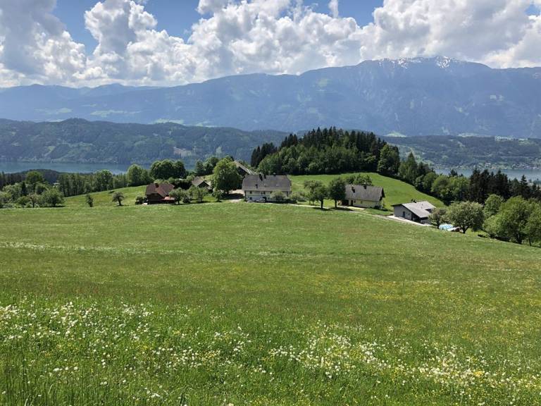 foto10