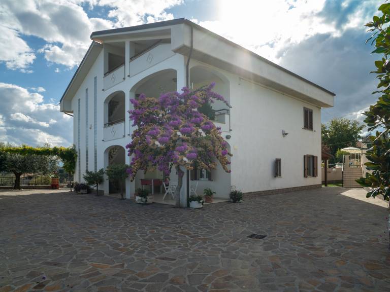 foto43