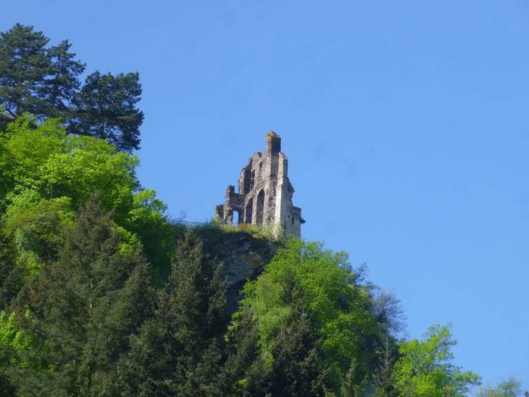 foto36