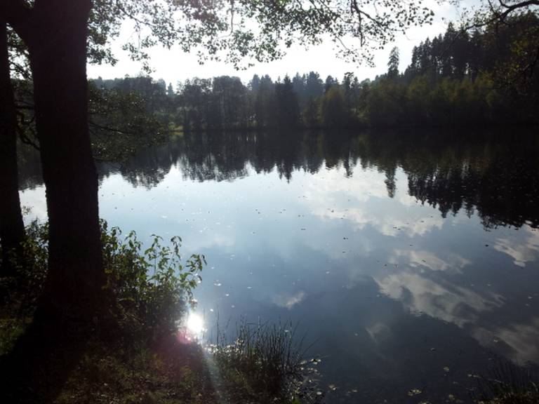 foto20