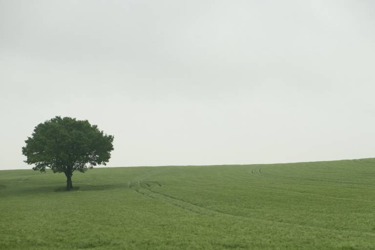 foto16