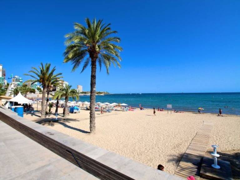 foto41