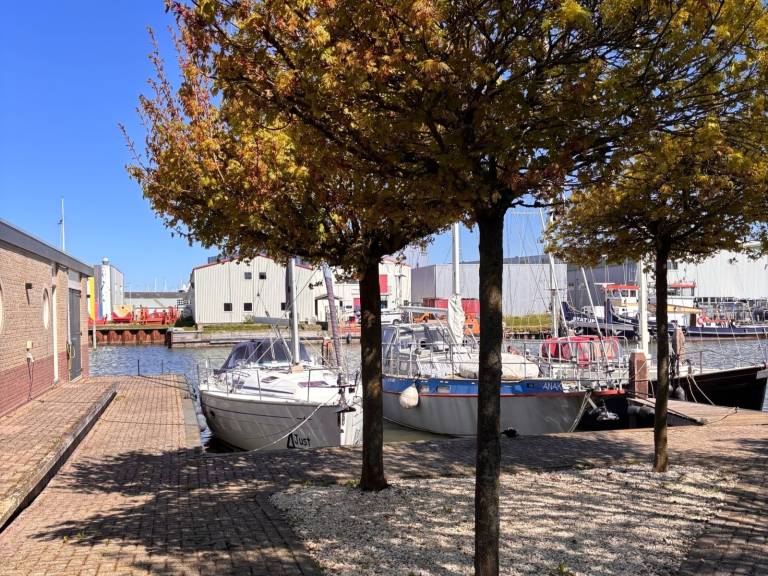 foto20