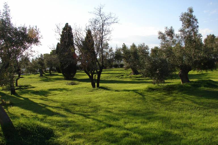 foto16