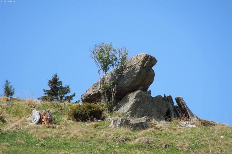 foto33