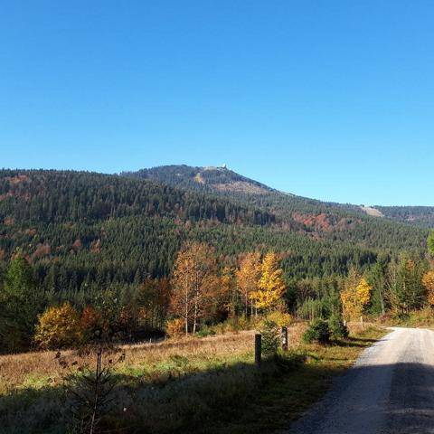 foto17