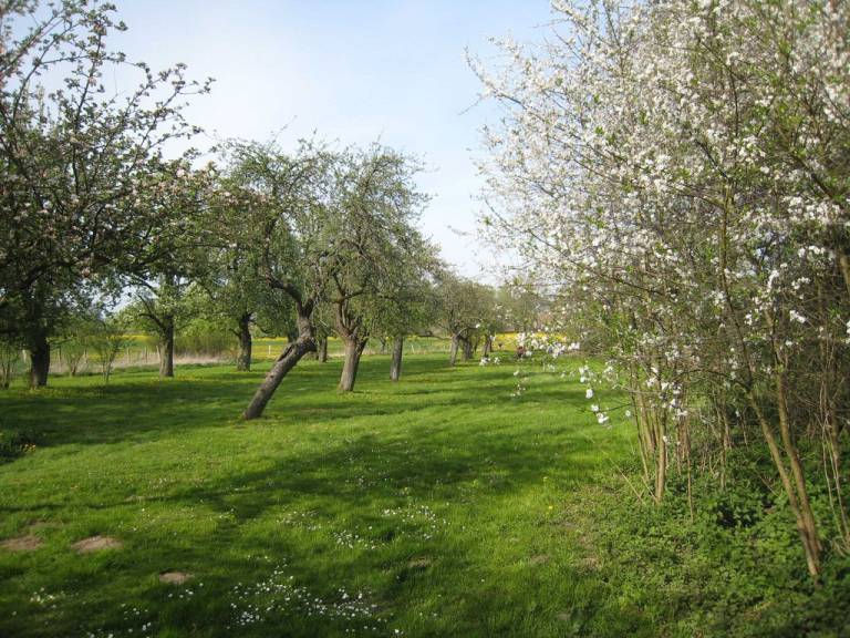 foto17