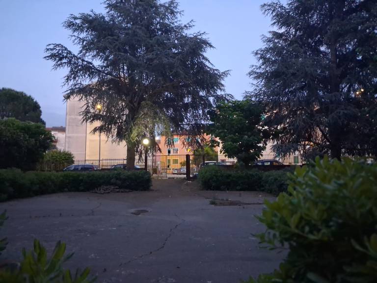 foto39