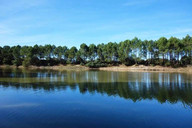 foto42