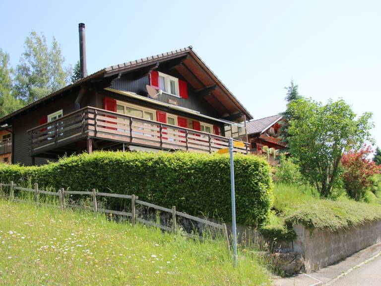 foto41