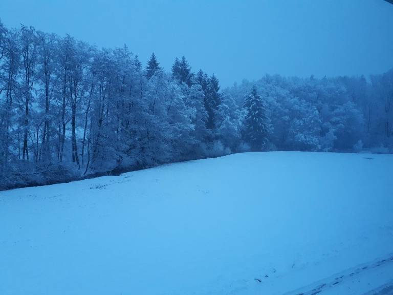 foto15