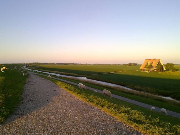 foto19