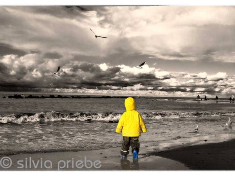 foto8