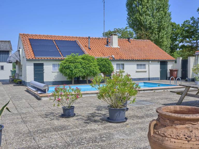foto1