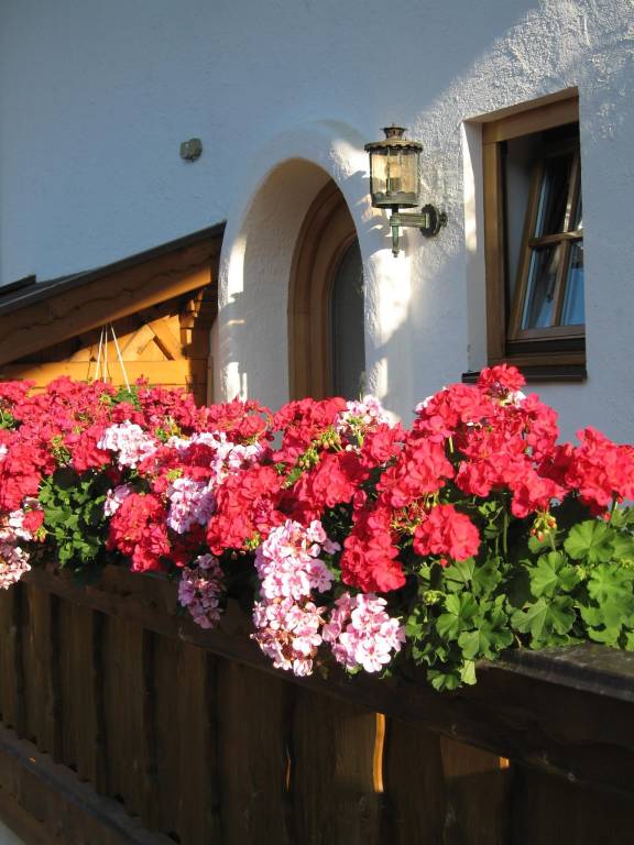 foto12