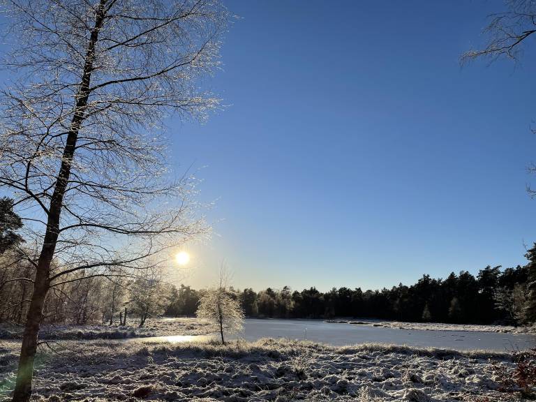 foto4