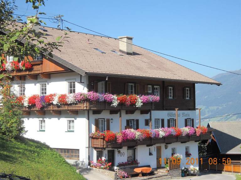 foto2