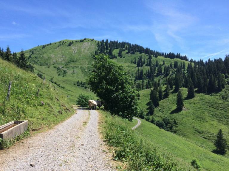 foto21